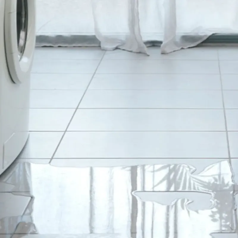 Appliance Leak Cleanup in Marion, IL