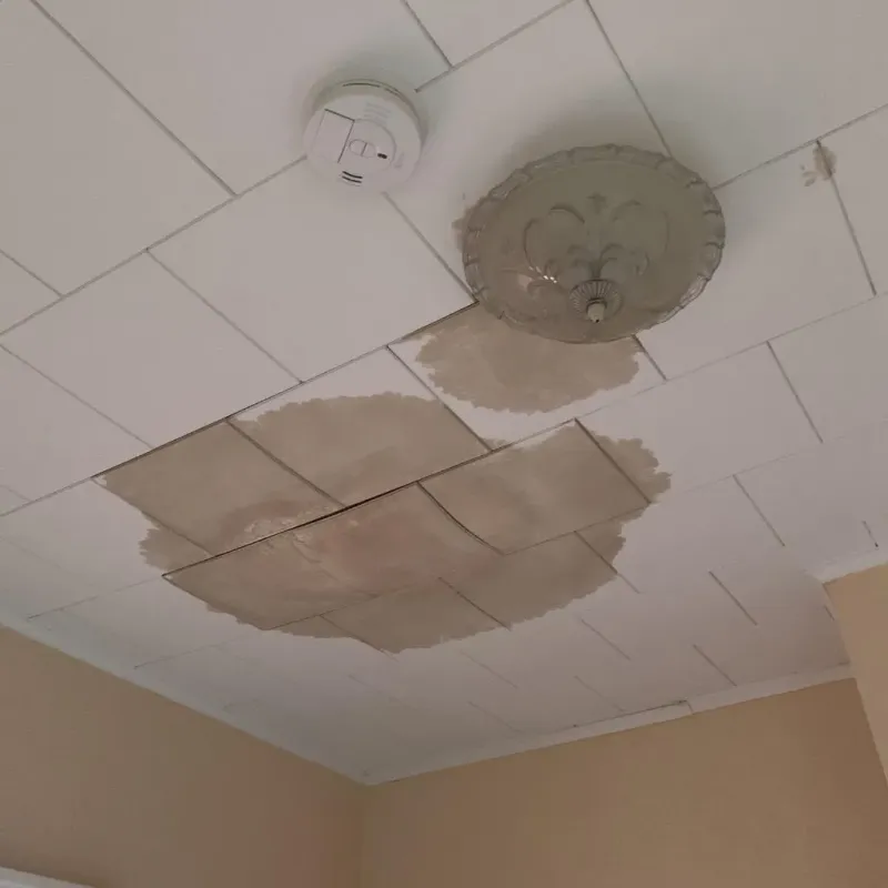 Ceiling Water Damage Repair in Marion, IL