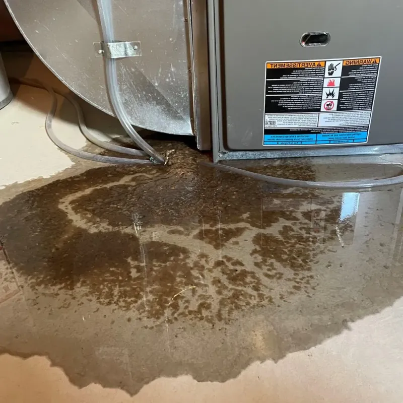 Pipe Burst and Leak Restoration in Marion, IL