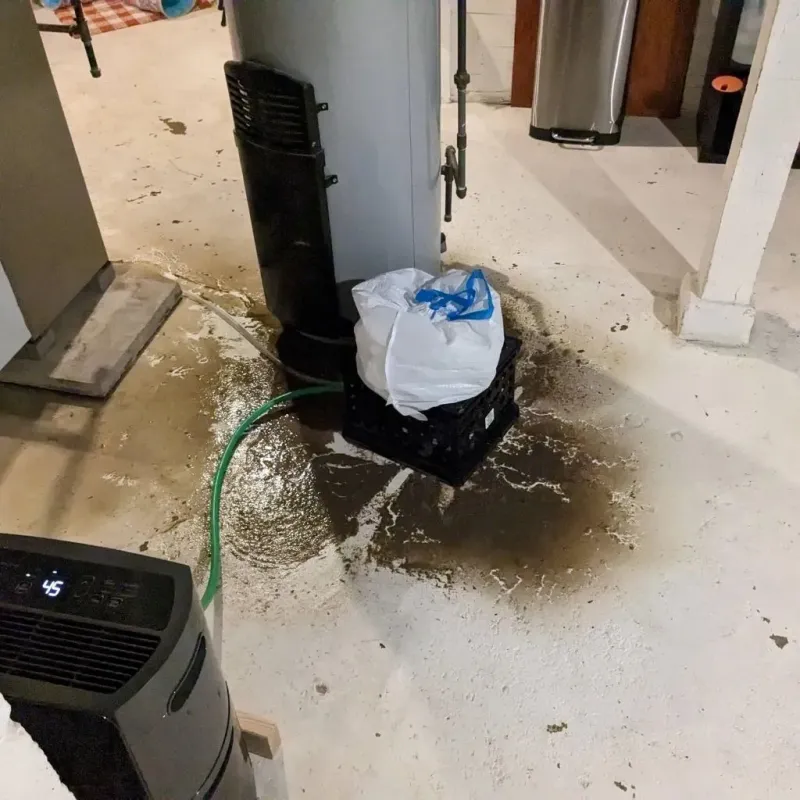 Sewage Backup Cleanup Service in Marion, IL
